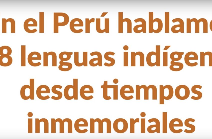 La ONU declara el 2019 Año Internacional de las Lenguas Indígenas
