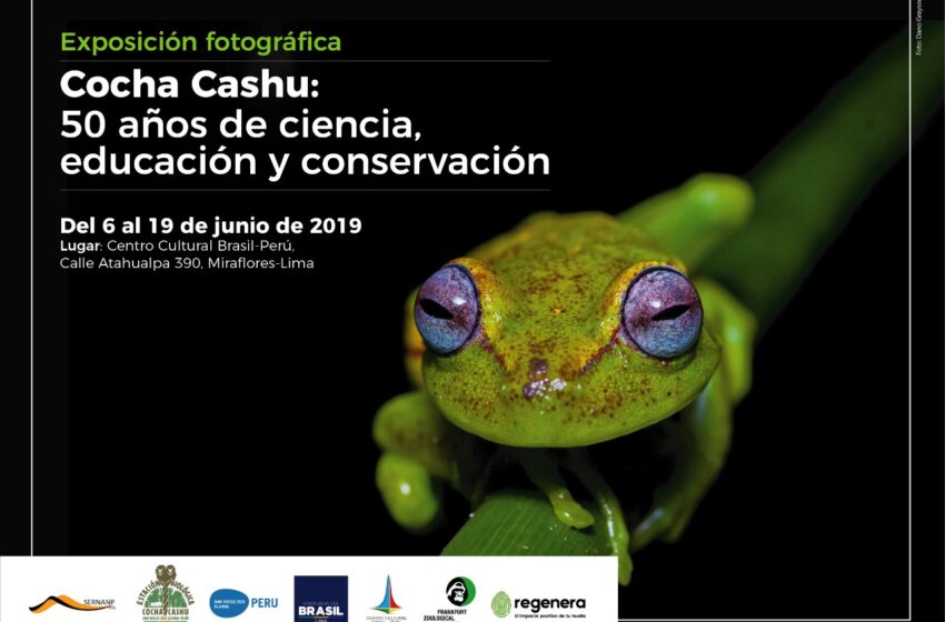  Exposición fotográfica Cocha Cashu: 50 años de Ciencia, Educación y Conservación, en el CC Brasil-Perú