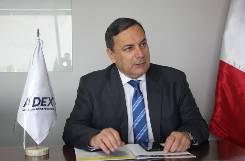  Adex insta a lograr consenso a favor de la inversión privada