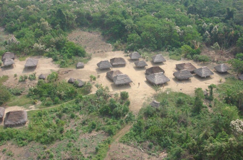  En el Día Internacional de los Pueblos Indígenas se declaran sancionar hasta con 1000 UITs a quienes vulneren derechos de indígenas en aislamiento
