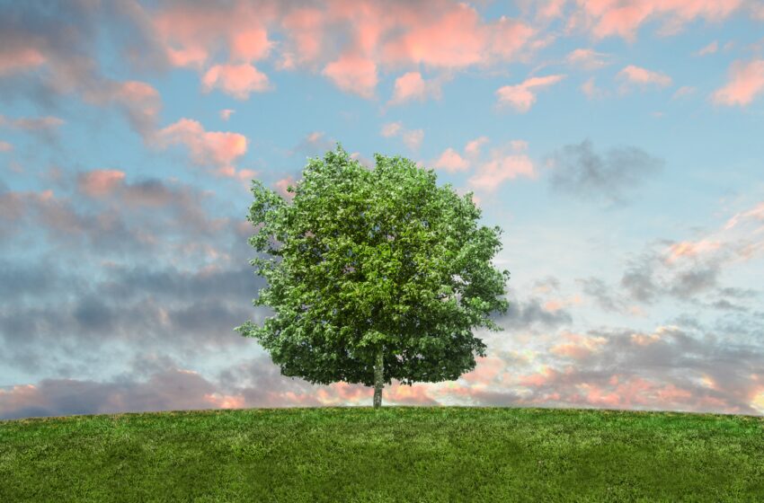  Perú y Chile juntos frente al cambio climático