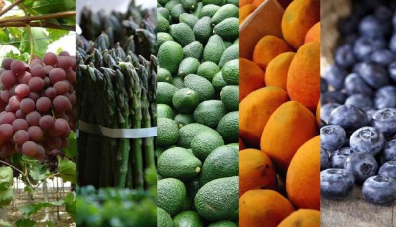  Alimentos peruanos estarán en feria internacional de China