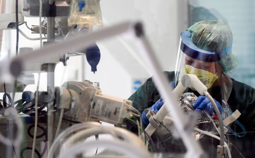  Alemania: ¿Por qué su índice de mortalidad por COVID-19 es tan bajo?
