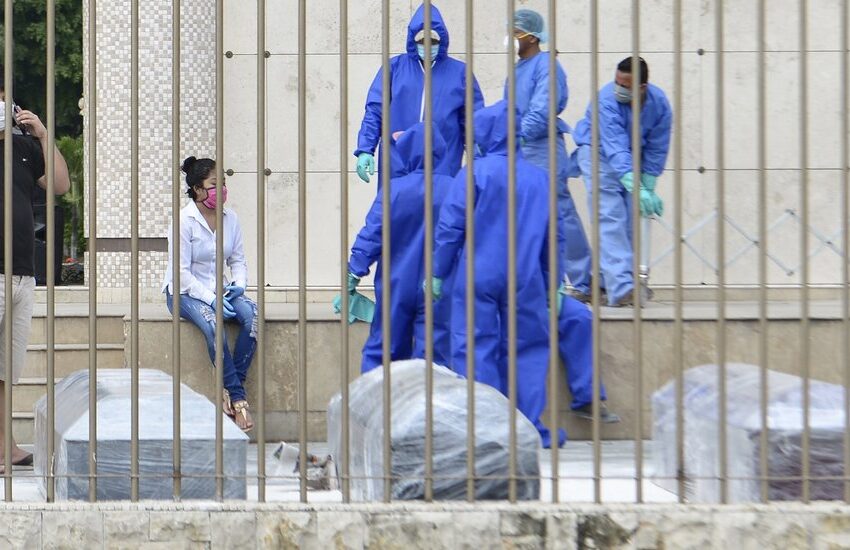  OMS apoyará a Ecuador en su lucha contra el COVID-19