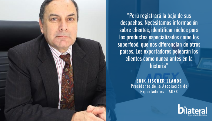  Es urgente impulsar una “Agenda Perú” para salir de la crisis