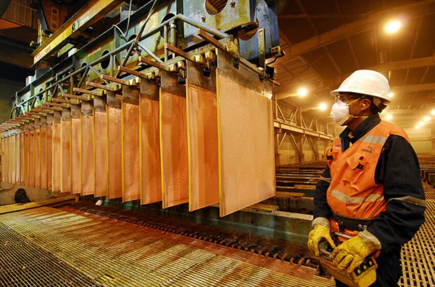  Doce regiones cerraron al alza sus exportaciones de agosto