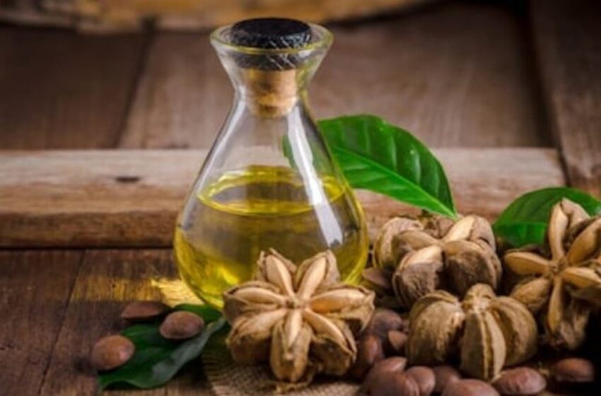  Aceite de Sacha Inchi es requerido en el exterior por su alto valor nutricional