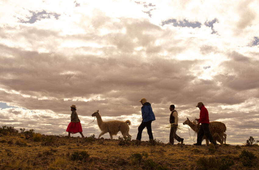  PERÚ Y BOLIVIA: EXPERIENCIAS EXITOSAS EN TURISMO COMUNITARIO