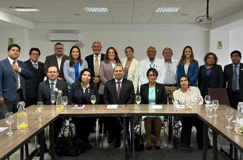  Arequipa apoya la iniciativa City Cancer Challenge