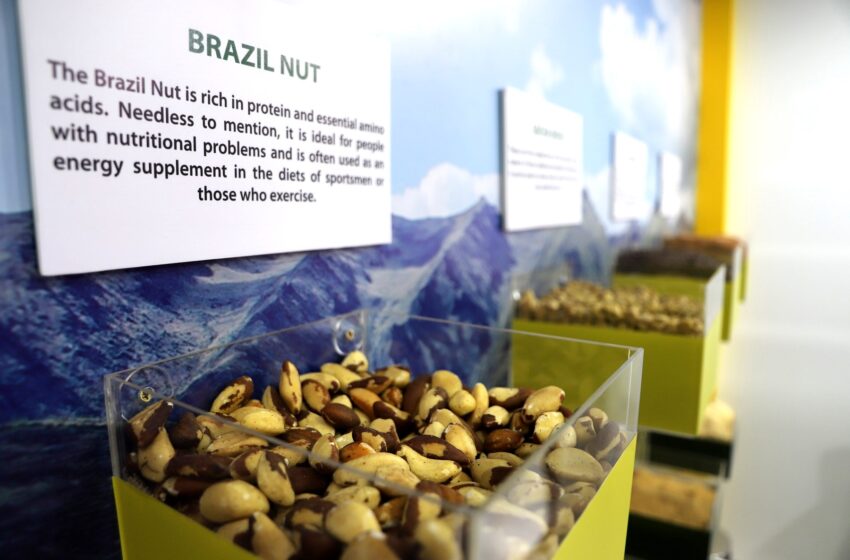  Oro es el mineral más exportado de Madre de Dios